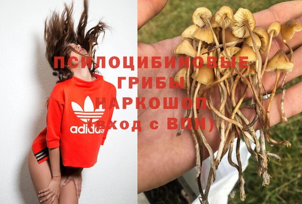 стафф Богородск
