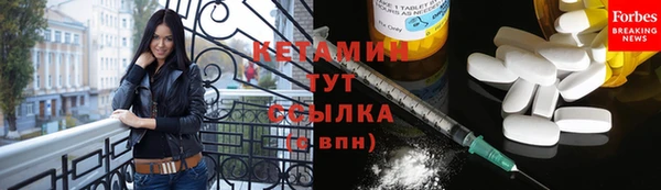 прущие грибы Богородицк