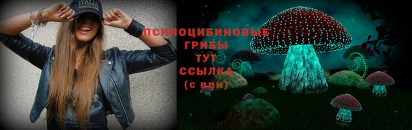 прущие грибы Богородицк