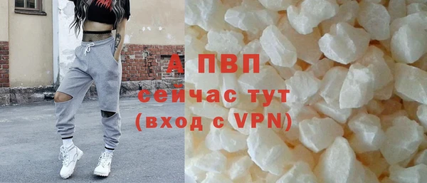 стафф Богородск