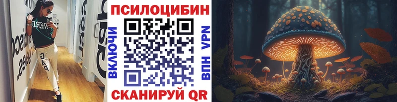 Галлюциногенные грибы мицелий  Купить  Мончегорск 